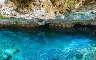 cenote parque aktunchen com calcário pedras turquesa água e natureza. foto