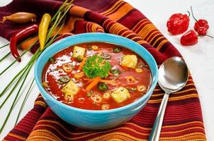pimenta picante sopa de tomate quente com cubos de pão em uma tigela. foto