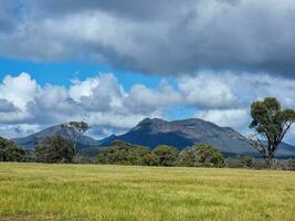 Stirling gamas, ocidental Austrália foto