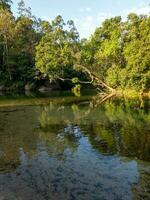 babinda pedregulhos, queensland, Austrália foto