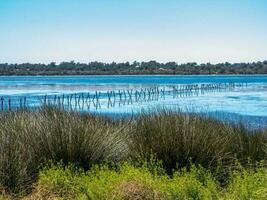 belvidere nacional parque, ocidental Austrália foto