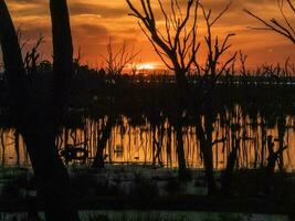 winton zonas úmidas, vitória, Austrália foto