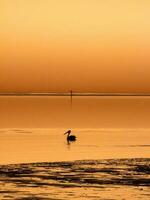 karumba dentro Queensland Austrália foto