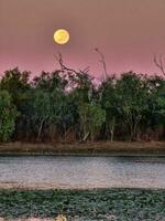 leichhardt lagoa, Queensland Austrália foto