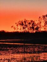 leichhardt lagoa, Queensland Austrália foto