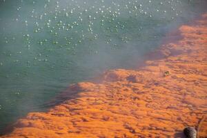 wai-o-tapu, Rotorua, Novo zelândia foto