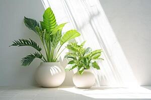 em vaso verde plantas com branco parede em a fundo. Sol raios. plantas de casa. generativo ai foto