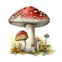 aguarela mosca agaric. floresta outono cogumelo com uma vermelho boné. arte ilustração criada com generativo ai tecnologia foto
