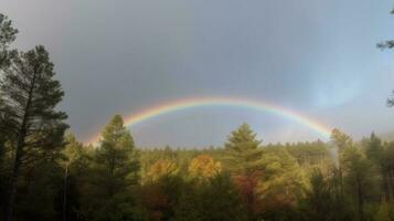 uma arco Iris arqueamento através a floresta céu depois de uma rápido chuva foto