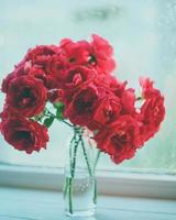buquê de rosas vermelhas no fundo da janela foto