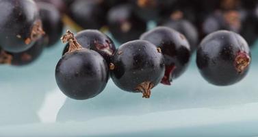 groselha preta, bagas do saudável bio-jardim de verão provam frutas silvestres foto