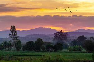 à noite, o céu dourado, vistas da montanha em chiang mai, tailândia