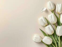 lindo tulipa flores com cópia de espaço fundo, topo visualizar. espaço para texto foto