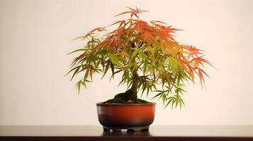 lindo japonês bordo bonsai plantar dentro uma mesa branco fundo. ai gerado foto