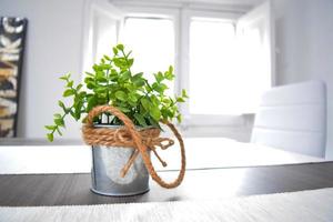 planta verde em uma panela de lata com corda com nó na mesa de madeira à luz do sol foto