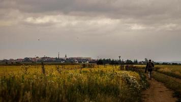 caçador de tesouro caminhando no caminho foto