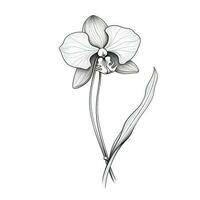 fundo orquídea flor ai gerado foto