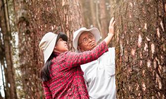 uma filha adulta com o pai sênior tocando uma árvore na floresta. conceito do dia da terra com pessoas protegendo as árvores do desmatamento.
