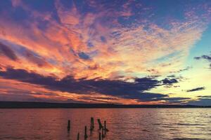 emocionante pôr do sol às a Beira Mar. morto árvore tocos dentro a água foto