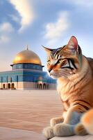 uma fofa gato com al aqsa mesquita atrás isto foto