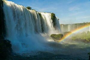 iguazu cai em a fronteira entre Argentina e Brasil com lindo arco-íris e grande quantidade do vegetação e grande quantidade do água queda baixa eles foto