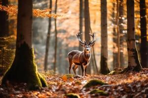 selvagem veado dentro uma floresta criada com generativo ai tecnologia. foto