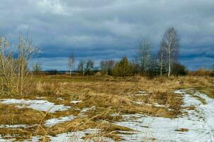 panorama do natureza dentro cedo Primavera em uma nublado dia, sombrio céu, a último neve derrete em a amarelado último anos seco grama. em a horizonte estão delgado bétulas sem folhas e de outros árvores, a vento. foto