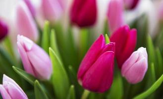 lindo buquê de tulipas foto