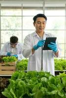 cientista equipe fazendo experimentar dentro agricultura laboratório para desenvolver genético modificação cultivo foto