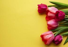 lindo buquê de tulipas foto