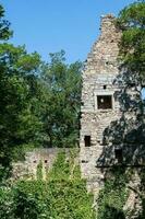 ruínas do a castelo dentro a panorama foto