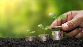 plantar uma árvore em uma pilha de dinheiro, incluindo a mão de uma mulher segurando uma moeda em uma árvore na moeda, ideias para economizar dinheiro e investir no futuro.