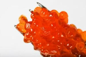 vermelho caviar em uma metal garfo. foto