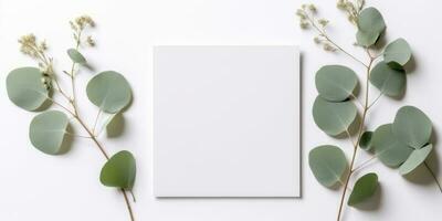 minimalista cumprimento cartão brincar com delicado seco eucalipto folhas - topo Visão em uma limpar \ limpo branco fundo, ai gerado foto