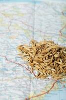 não limpo aveia grãos em uma mapa foto