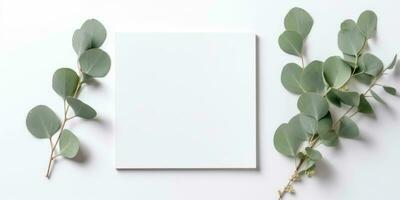 minimalista cumprimento cartão brincar com delicado seco eucalipto folhas - topo Visão em uma limpar \ limpo branco fundo, ai gerado foto