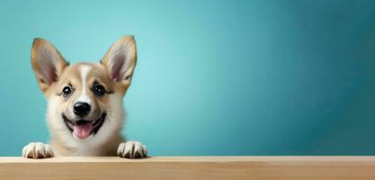 cachorro cachorro em neutro fundo com cópia de espaço, bandeira criada com generativo al tecnologia foto