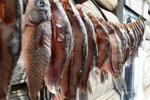 seco peixe, Cerveja Aperitivo, seco peixe seca dentro a sol, salgado peixe foto