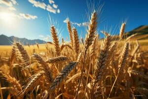 a idílico agricultura conceito desdobra-se dentro uma dourado cereal campo, abundante com trigo ai gerado foto