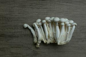 branco faia cogumelos, shimeji cogumelo, comestível cogumelo em a de madeira mesa foto