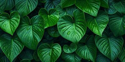 Sombrio verde monstera folhas cópia de espaço fundo. ai gerado, foto
