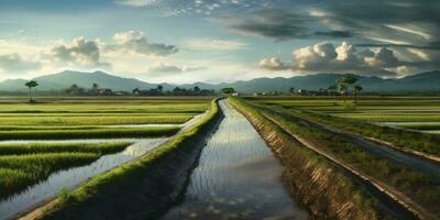 campo arroz contornando declive e solo estrada fundo. ai gerado foto