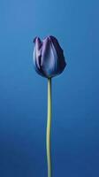 azul tulipa flor cópia de espaço borrado fundo. ai gerado foto