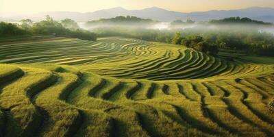 campo arroz contornando declive e solo estrada fundo. ai gerado foto