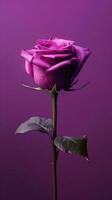 roxa rosa flor cópia de espaço borrado fundo. ai gerado foto