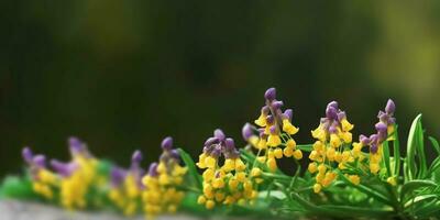 beleza amarelo sinos de cera flor, jardim decoração, cópia de espaço borrado fundo, ai gerado foto