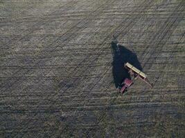 direto semeadura, agrícola maquinaria, dentro la pampa, Patagônia, Argentina foto