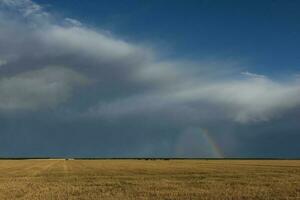 ameaçador tempestade nuvens, pampas, Patagônia, Argentina foto