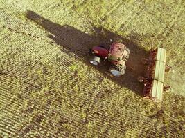 trator y maquinaria agricola , sembrando, la pampa, Argentina foto