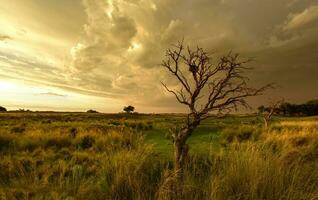 tormentoso paisagem, la pampa, Patagônia, Argentina foto